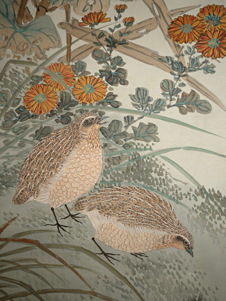 Chrysanthemun Blossoms & Quails