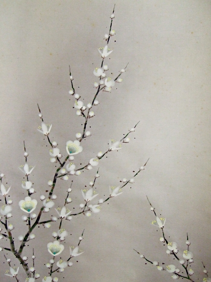 Ume (Japanese Plum) Flowers