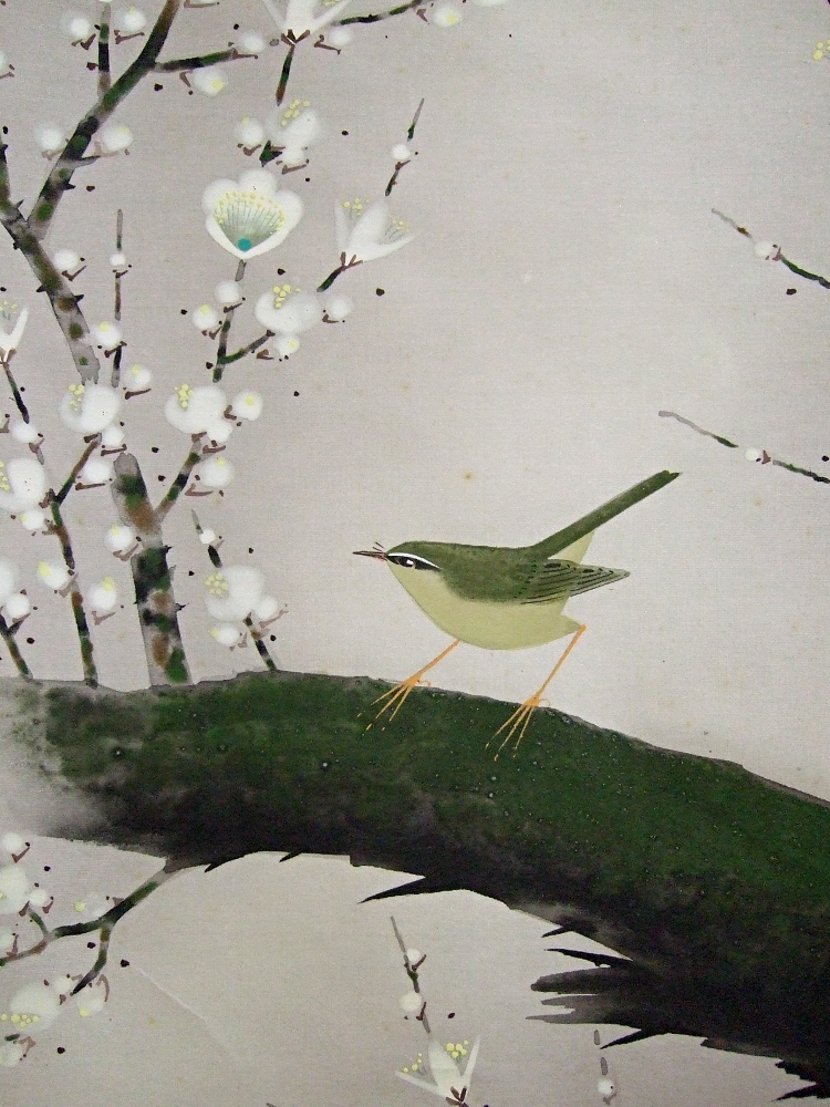 Uguisu Japanese Warbler Bird