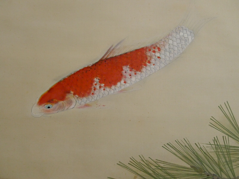 Nishikigoi Swimming Carp & Matsu Japanese Pine Needles