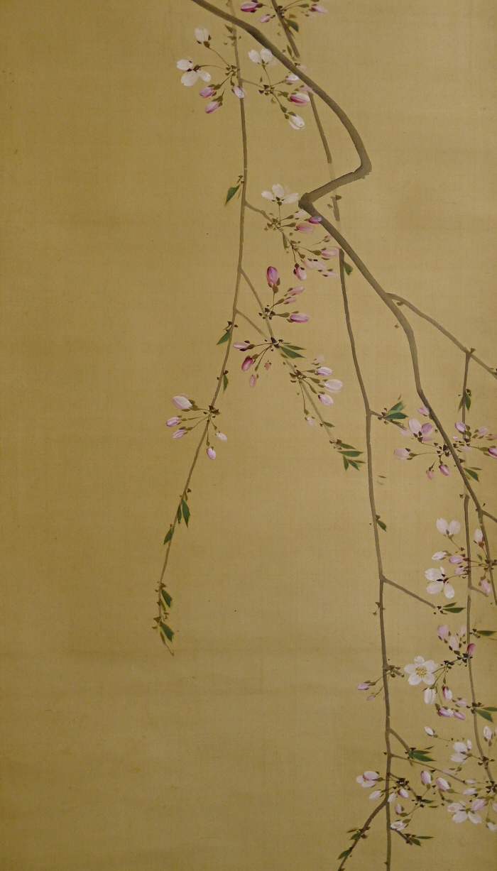 Sakura Flowers & Leaves